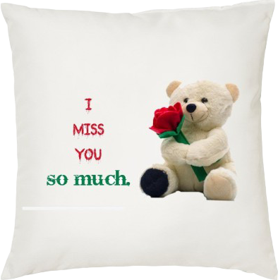 Miss you pillow